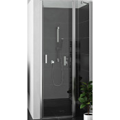 Душевая дверь Roltechnik Lega Lift 226-1200000-00-02 хром