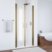 Душевая дверь в нишу Vegas Е2Р 100 05 10 бронза/сатин