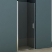 Душевая дверь Riho Novik Z101 100 GZ1100000 хром/прозрачное