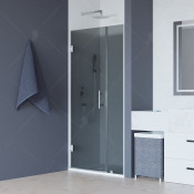 Душевая дверь RGW HO-012 350601212-31 120 хром/тонированное