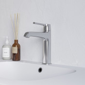 Смеситель на раковину RGW SP-301 511405301-01