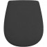 Сиденье для унитаза Artceram Atelier AZA001 17 71 черный матовый