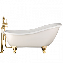 Чугунная ванна Devon&Devon Regina 2MRREGINAPDOTDD 163.5х79 белый/золото