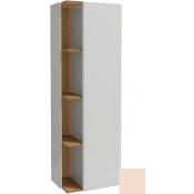 Шкаф-пенал Jacob Delafon Terrace EB1179D-S24 50R жасмин сатин