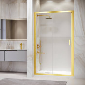 Душевая дверь RGW PA-14G 170 41081417-16