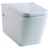 Чаша для унитаза-компакт Delice Nicole с бачком и сиденьем микролифт