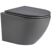 Подвесной унитаз WeltWasser Merzbach 043 MT-GR 10000009941 серый матовый