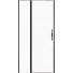 Душевая дверь Allen Brau Priority 3.31006.BBA 100 черный браш/прозрачное
