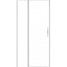 Душевая дверь Allen Brau Priority 3.31029.BA 100 серебро браш/прозрачное
