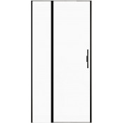 Душевая дверь Allen Brau Priority 3.31030.BBA 100 черный браш/прозрачное