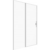 Душевая дверь Allen Brau Priority 3.31008.BA 120 серебро браш/прозрачное