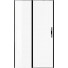 Душевая дверь Allen Brau Priority 3.31009.BBA  120 черный браш/прозрачное