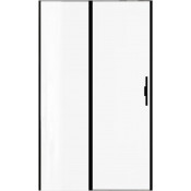 Душевая дверь Allen Brau Priority 3.31033.BBA 120 черный браш/прозрачное