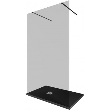 Душевая перегородка Allen Brau Infinity 3.21044.BA.T 120 серебро браш/тонированное