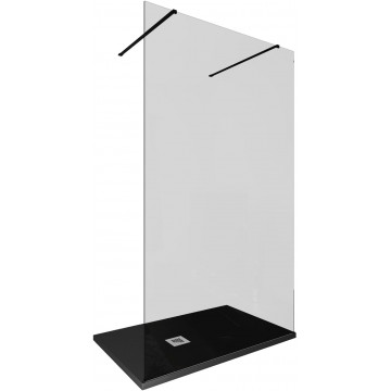 Душевая перегородка Allen Brau Infinity 3.21046.BBA.T 120 черный браш/тонированное