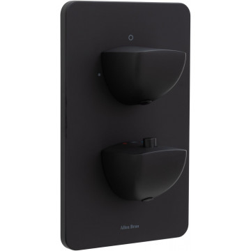 Смеситель для душа Allen Brau Infinity 5.21216-31 с термостатом черный матовый