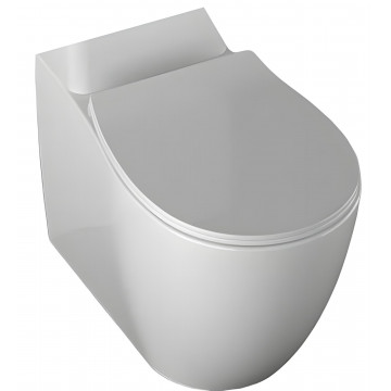 Чаша унитаза Allen Brau Fantasy 4.11009.20 белый глянец