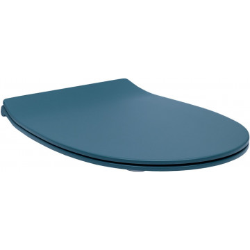 Сиденье для унитаза Allen Brau Fantasy 4.11005.PT петроль