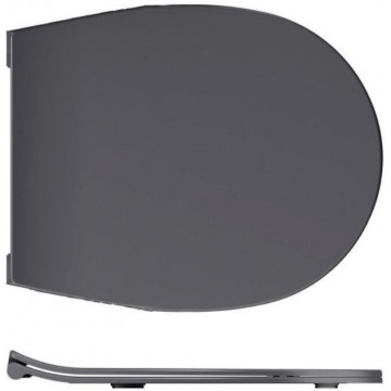 Сиденье для унитаза Allen Brau Reality 4.32007.AN антрацит