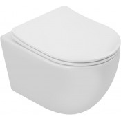 Унитаз подвесной Aquanet Cetus 3.0 Tornado 348005 с сиденьем белый