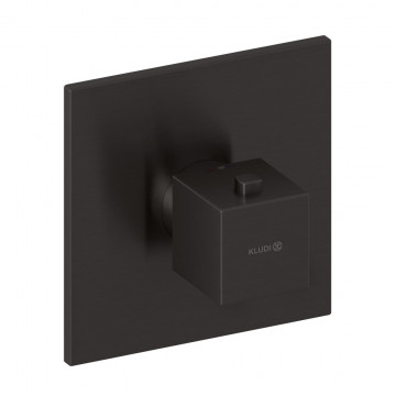 Смеситель для душа Kludi Decus 54739N275 с термостатом оружейная сталь