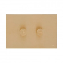 Кнопка смыва OLI TRUMPET золото 873245 ПНЕВМО