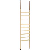 Электрический полотенцесушитель Wonzon & Woghand Bremen WW-A207-BG 47.5х180 брашированное золото