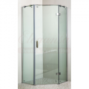 Душевой уголок Elegansa TRAPEZ TR. 331 100х100