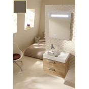 Тумба для раковины Jacob Delafon Rythmik EB1302-G80 цвет Светло- коричневый