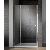 Душевая дверь в нишу Radaway EOS II DWJ 110 L