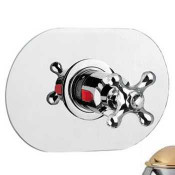 Смеситель Bandini Antica 824920KO06PO для душа, хром-золото