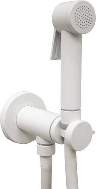 Гигиенический душ Bossini Paloma E37015B.045 со смесителем белый матовый