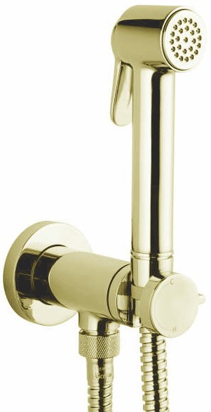 Гигиенический душ Bossini Paloma E37005B.021 со смесителем золото