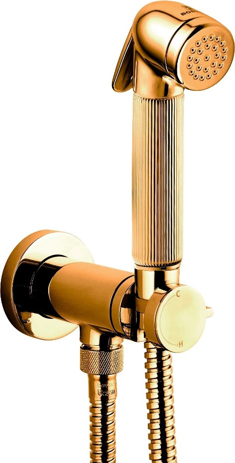 Гигиенический душ Bossini Nikita E37008B.021 со смесителем золото
