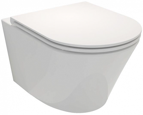 Унитаз подвесной Jacob Delafon Rodin+ EDY102-00 белый