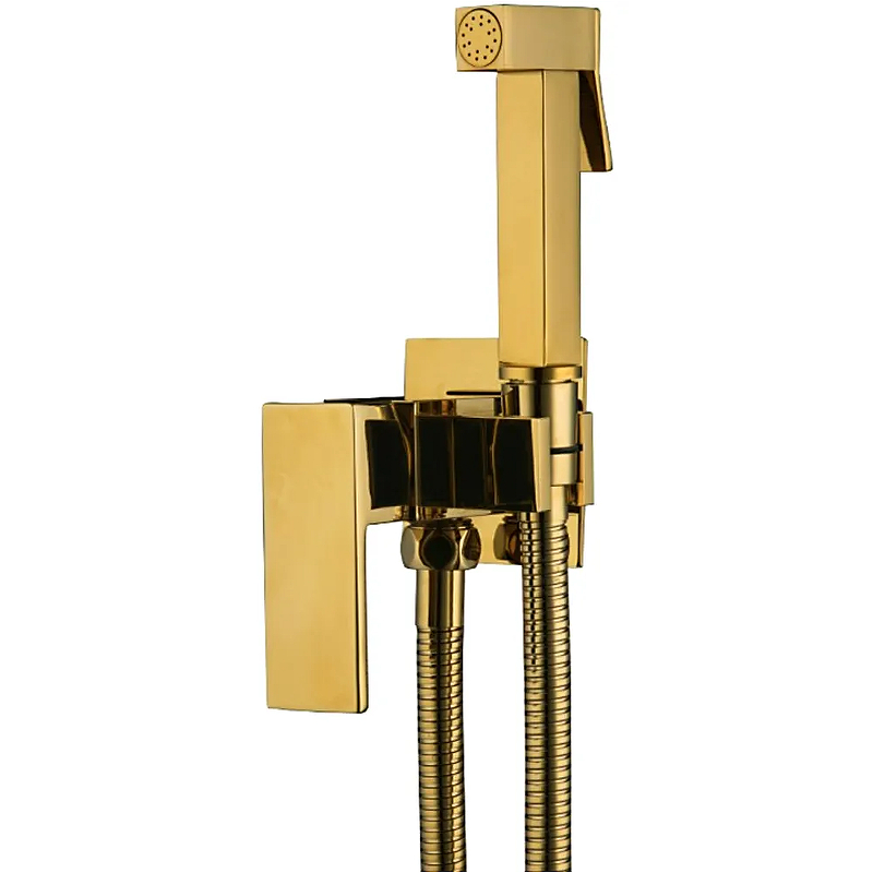 Гигиенический душ Frap F7506-3 золото