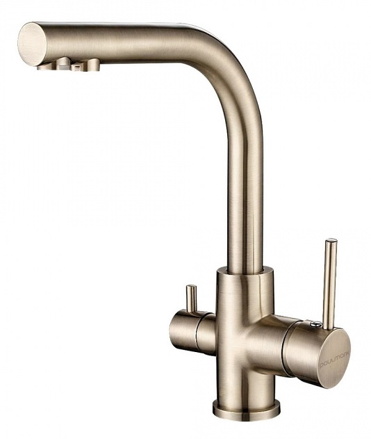 Смеситель для кухни Paulmark Essen Es213011-BR бронза